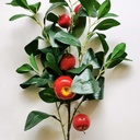 35&quot; APPLE &amp; LEAF SPRAY RED