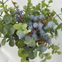 14" EUCALYPTUS & MINI BUR BUNDLE BLUE