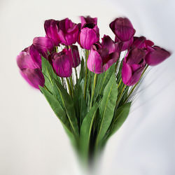 TULIP/ONION 30" GRASS SPRAY X2 PURPLE