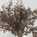 MINI BOXWOOD BUSH X7 15" (O.D.) DARK GREEN