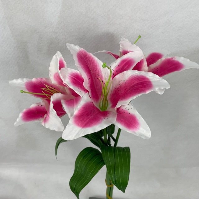 17" RUBRUM LILY ASIATIC SPRAY(3/BUNDLE)