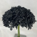 11" HYDRANGEA BUNDLE X6 BLACK