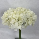 11" HYDRANGEA BUNDLE X6 CREAM