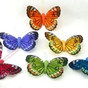 4" SCALLOPED WING BUTTERFLY 6-ASST'D  W/CLIP