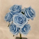 OPEN ROSE BUNDLE X6 LT. BLUE