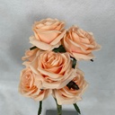 OPEN ROSE BUNDLE X6 PEACH