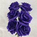 OPEN ROSE BUNDLE X6 PRUPLE