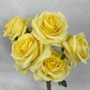 OPEN ROSE BUNDLE X6 YELLOW