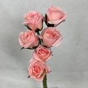 ROSE BUD BUNDLE X6 PINK