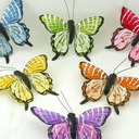 BUTTERFLY 3.5" 6-ASST'D W/CLIP STRIPED ASSORTMENT