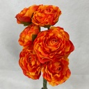 RANUNCULUS BUNDLE X6 ORANGE