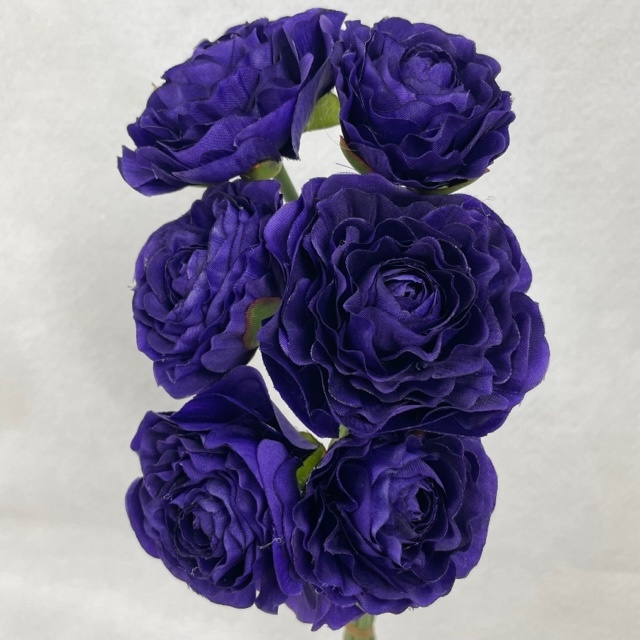 RANUNCULUS BUNDLE X6 PURPLE