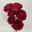 RANUNCULUS BUNDLE X6 RED