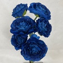 RANUNCULUS BUNDLE X6 ROYAL