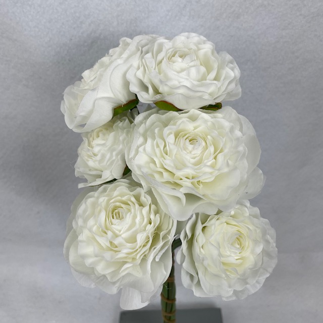 RANUNCULUS BUNDLE X6 WHITE