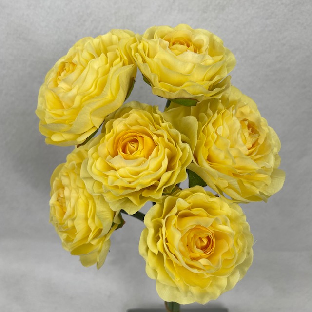 RANUNCULUS BUNDLE X6 YELLOW