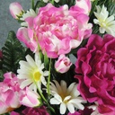 PEONY/ROSE/DAISY HALF BUSH X18  FUCHSIA/PINK