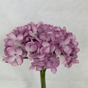 11" WAXFLOWER BUNDLE X6 LAVENDER