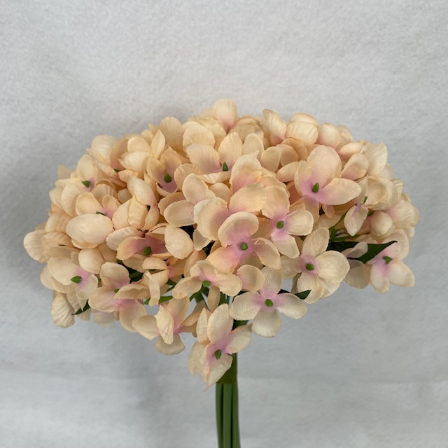 11" WAXFLOWER BUNDLE X6 PEACH