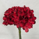 11" WAXFLOWER BUNDLE X6 RED