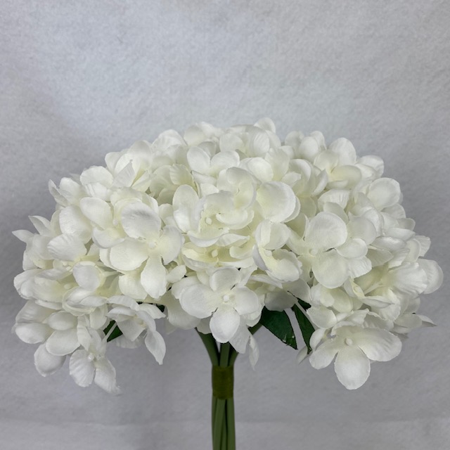 11" WAXFLOWER BUNDLE X6 WHITE