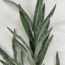30&quot; FROSTED LEAF SPRAY