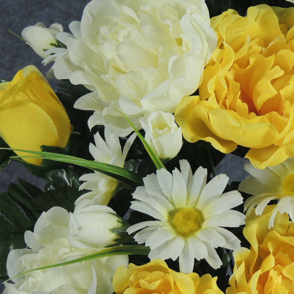 PEONY/ROSE/DAISY HALF BUSH X18  YELLOW/CREAM