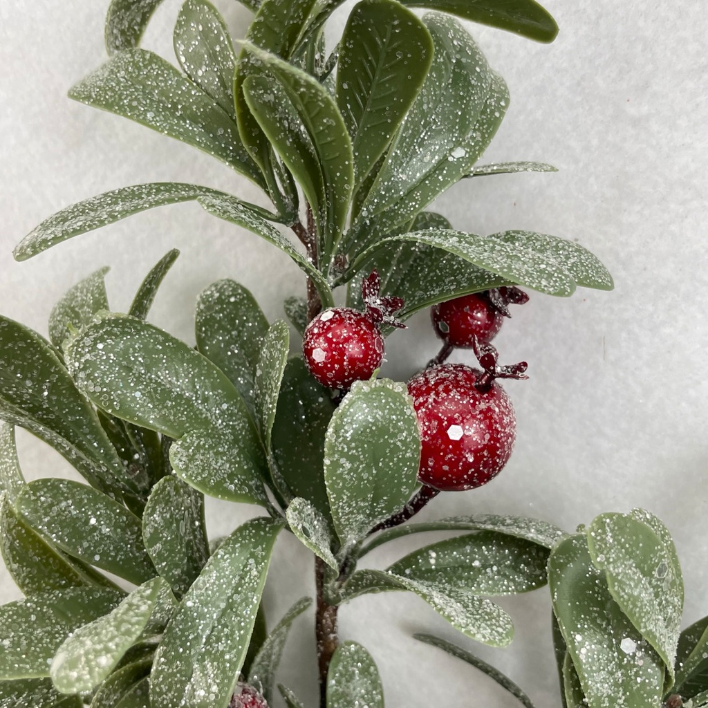 21" FROSTED MISTLETOE LEAF SPRAY W/ BERRIES