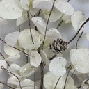 28" FROSTED WHITE EUCALYPTUS BUSH W/CONES