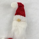 31&quot; SANTA GNOME SPRAY X3