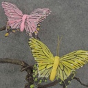 BUTTERFLY 4"  2-ASST YELLOW & PINK