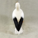 SEAGULL 7.5"T x 10" FEA/FLOCKED STANDING