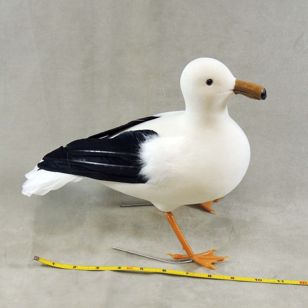 SEAGULL 9.5"T x 13" FEA/FLOCKED STANDING