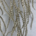 36&quot; METALLIC AMARANTHUS HANGING BUSH X5 CHAMPAGNE