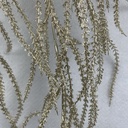 36" METALLIC AMARANTHUS HANGING BUSH X5 CHAMPAGNE