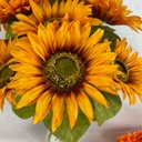 18" SUNFLOWER BUSH X10 BUTTERSCOTCH