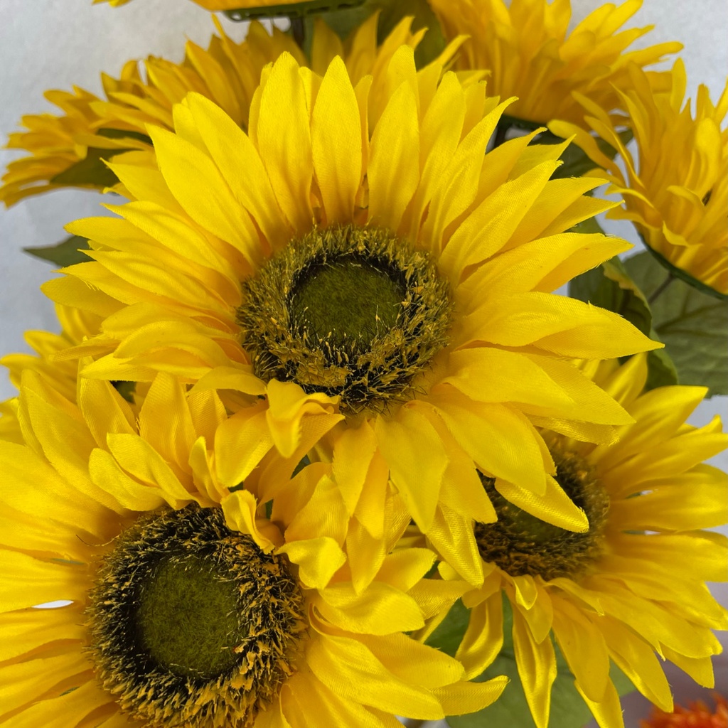 18" SUNFLOWER BUSH X10 YELLOW