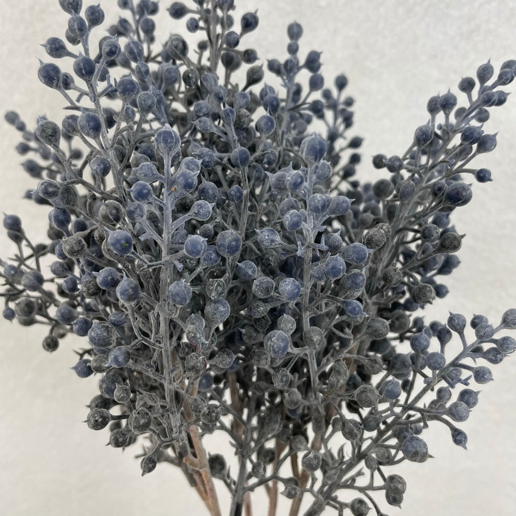 12" BERRY BUSH X5 DUSTY BLUE