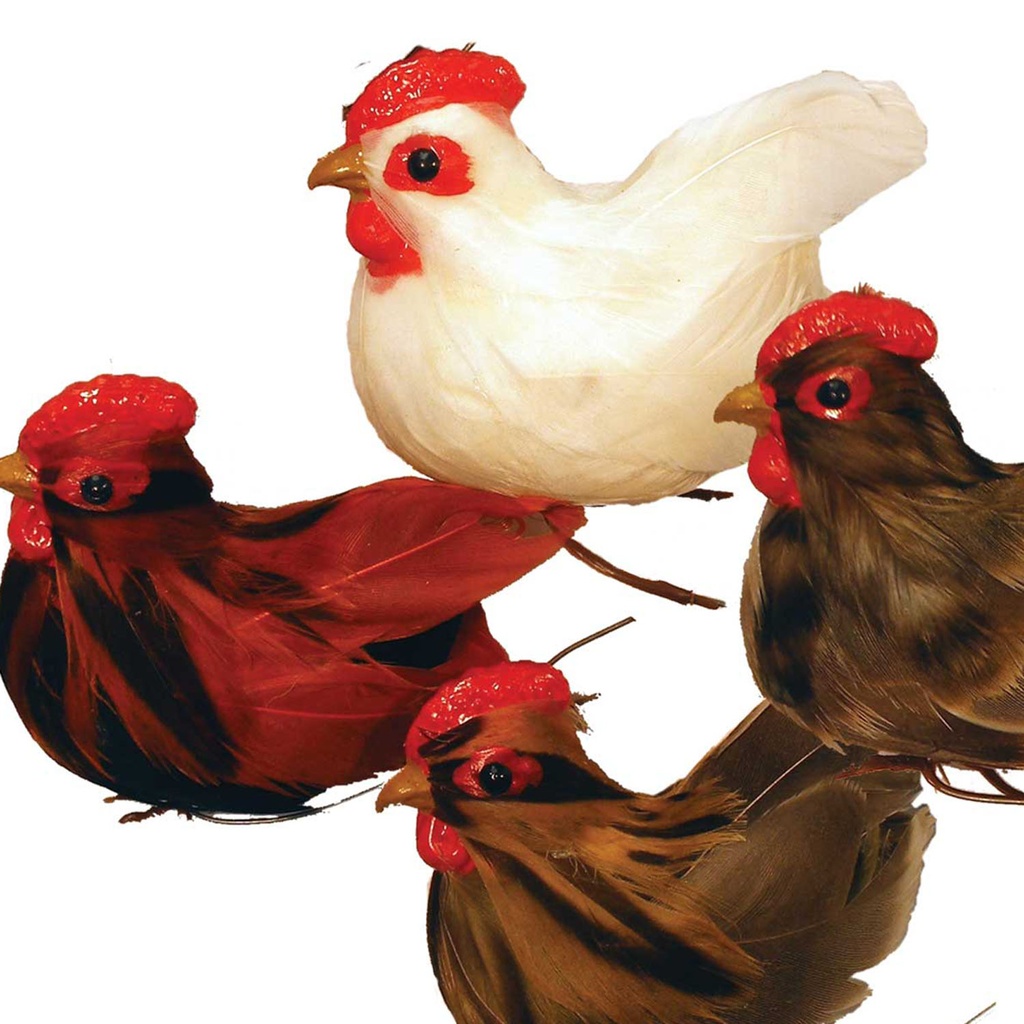 HEN 3" FEA/RESTING     4-ASST  (INDIVIDUAL)