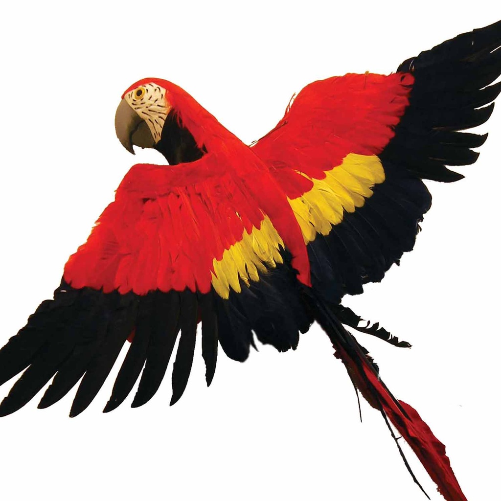 PARROT 32" FEATHERED MACAW FLYING