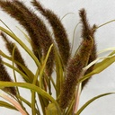 21&quot; CATTAIL &amp; GRASS BUSH X10 BROWN