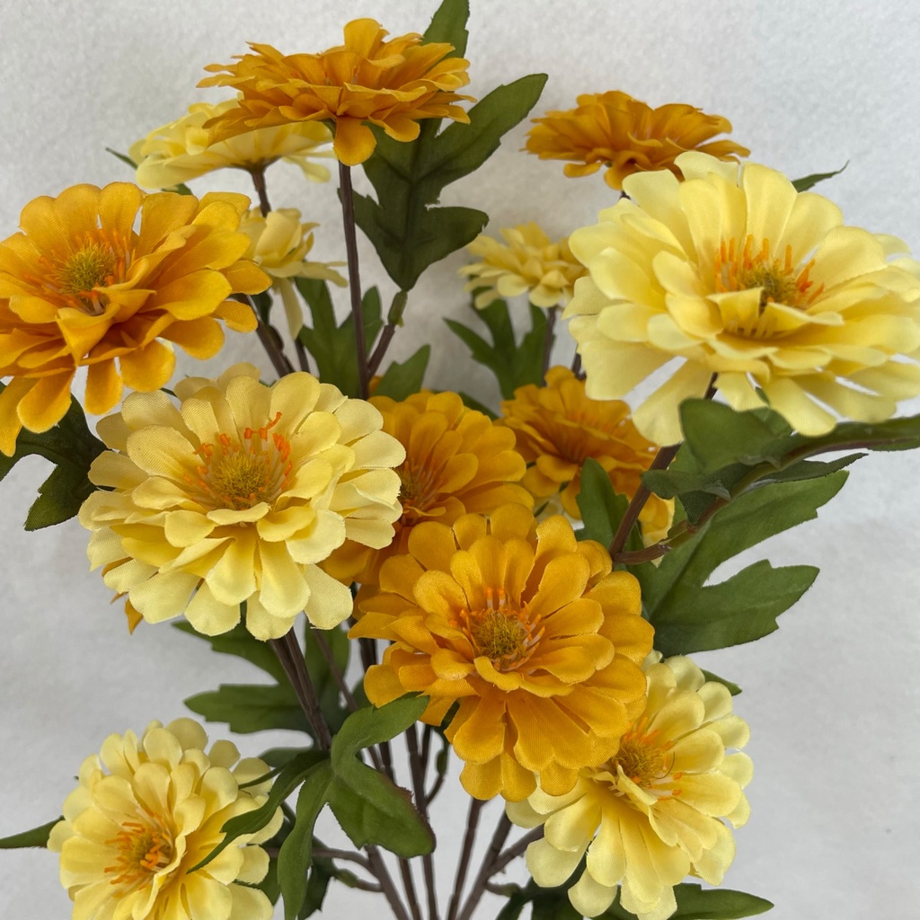 18" ZINNIA BUSH X5 GOLDEN/CREAM