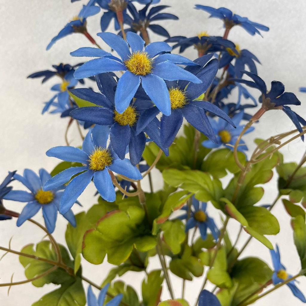 20" MINI DAISY BUSH X10 BLUE