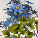 20" MINI DAISY BUSH X10 BLUE