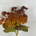 13&quot; HYDRANGEA SEED BUNDLE X3 BROWN/GOLD