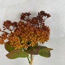 13" HYDRANGEA SEED BUNDLE X3 BROWN/GOLD