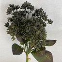 13" HYDRANGEA SEED BUNDLE X3 GRAY/GREEN