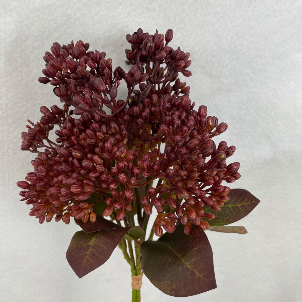 13" HYDRANGEA SEED BUNDLE X3 RED/BURGUNDY