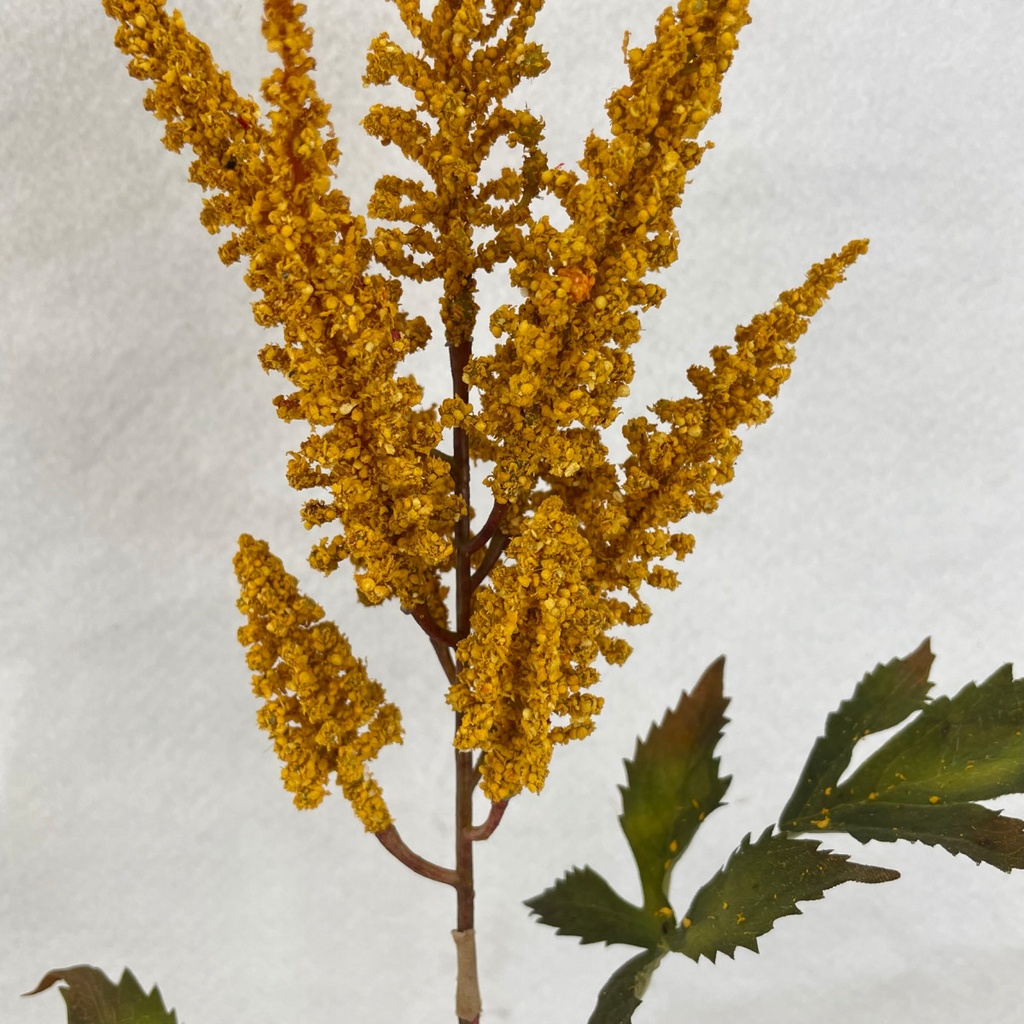 26.5&quot; ASTILBE SPRAY GOLD