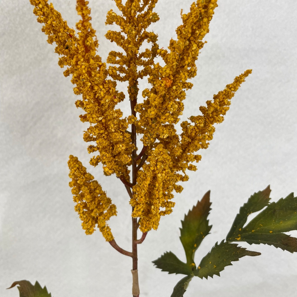 26.5" ASTILBE SPRAY GOLD